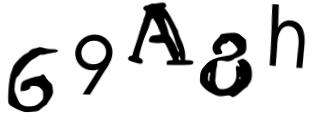 Beeld-CAPTCHA