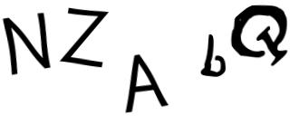Beeld-CAPTCHA