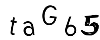 Beeld-CAPTCHA
