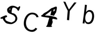 Beeld-CAPTCHA