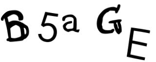 Beeld-CAPTCHA