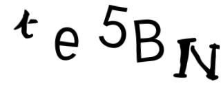 Beeld-CAPTCHA