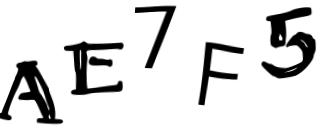 Beeld-CAPTCHA