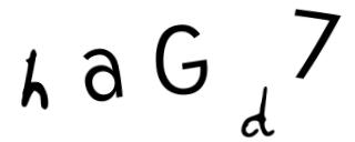 Beeld-CAPTCHA