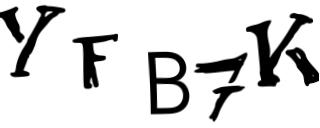 Beeld-CAPTCHA