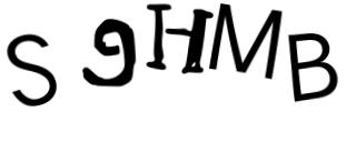 Beeld-CAPTCHA