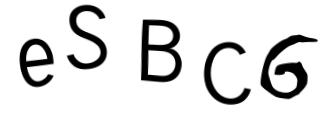 Beeld-CAPTCHA
