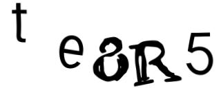 Beeld-CAPTCHA