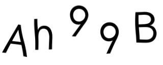 Beeld-CAPTCHA