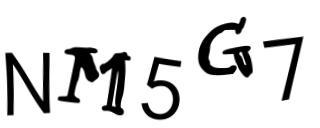 Beeld-CAPTCHA
