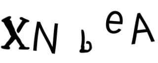Beeld-CAPTCHA