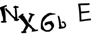 Beeld-CAPTCHA