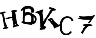 Beeld-CAPTCHA