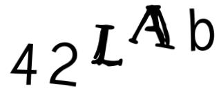 Beeld-CAPTCHA