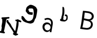 Beeld-CAPTCHA