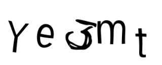 Beeld-CAPTCHA