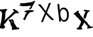 Beeld-CAPTCHA