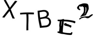 Beeld-CAPTCHA