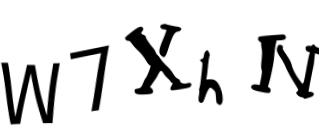 Beeld-CAPTCHA