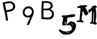 Beeld-CAPTCHA