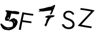 Beeld-CAPTCHA