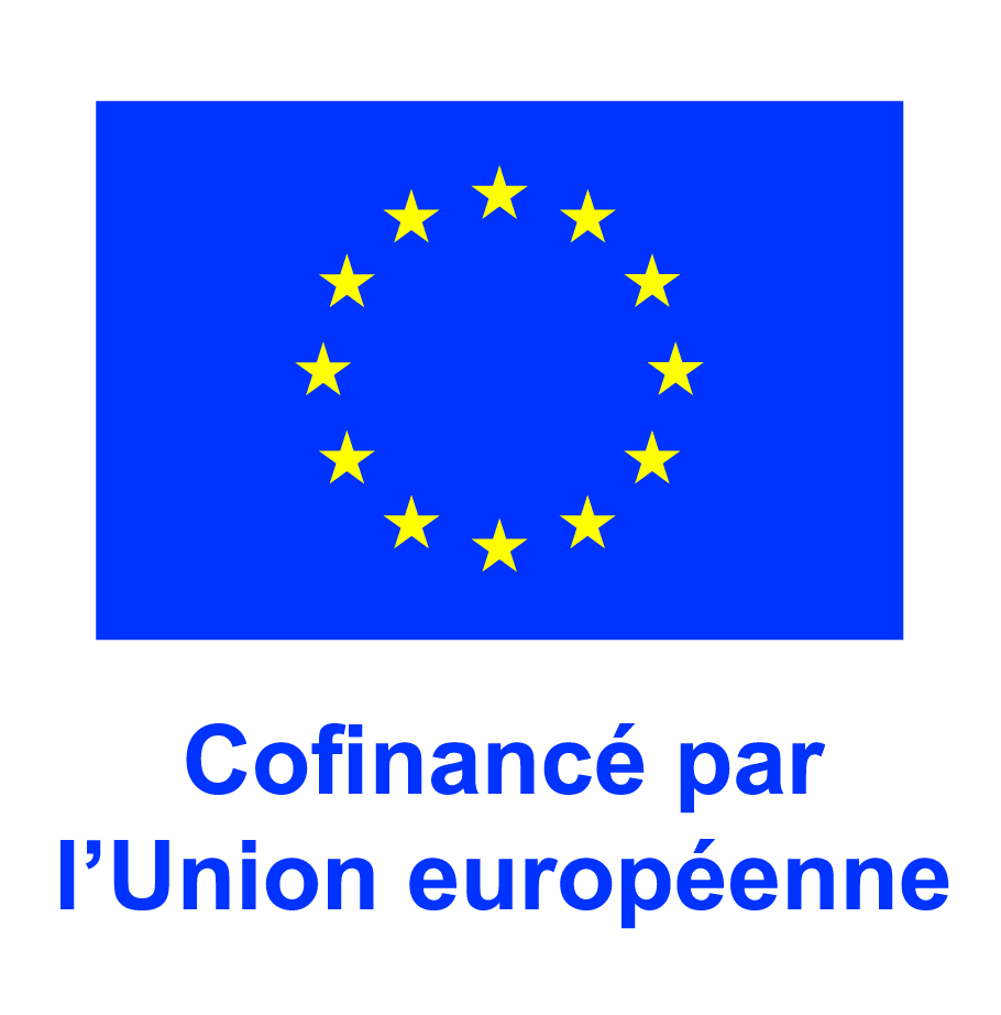 Logo de l'Union européenne