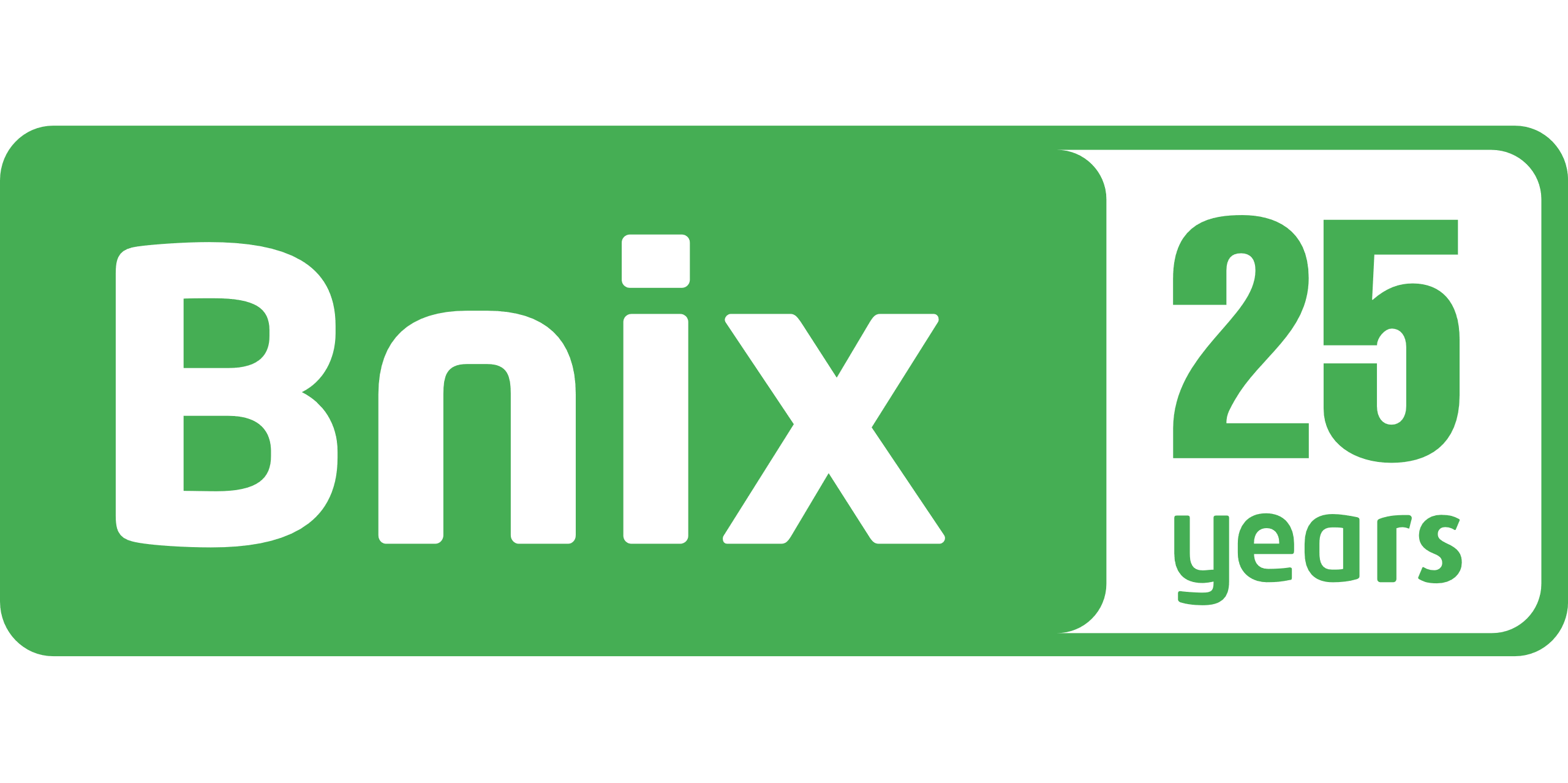 Logo de BNIX pour les 25 ans.