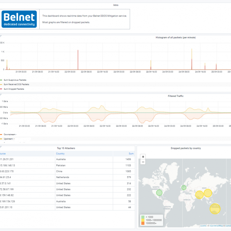 Screenshot van de verschillende grafieken van DDoS Dashboard