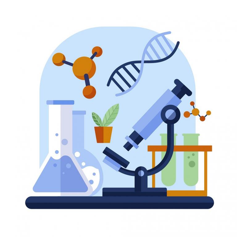 Illustration of different research disciplines